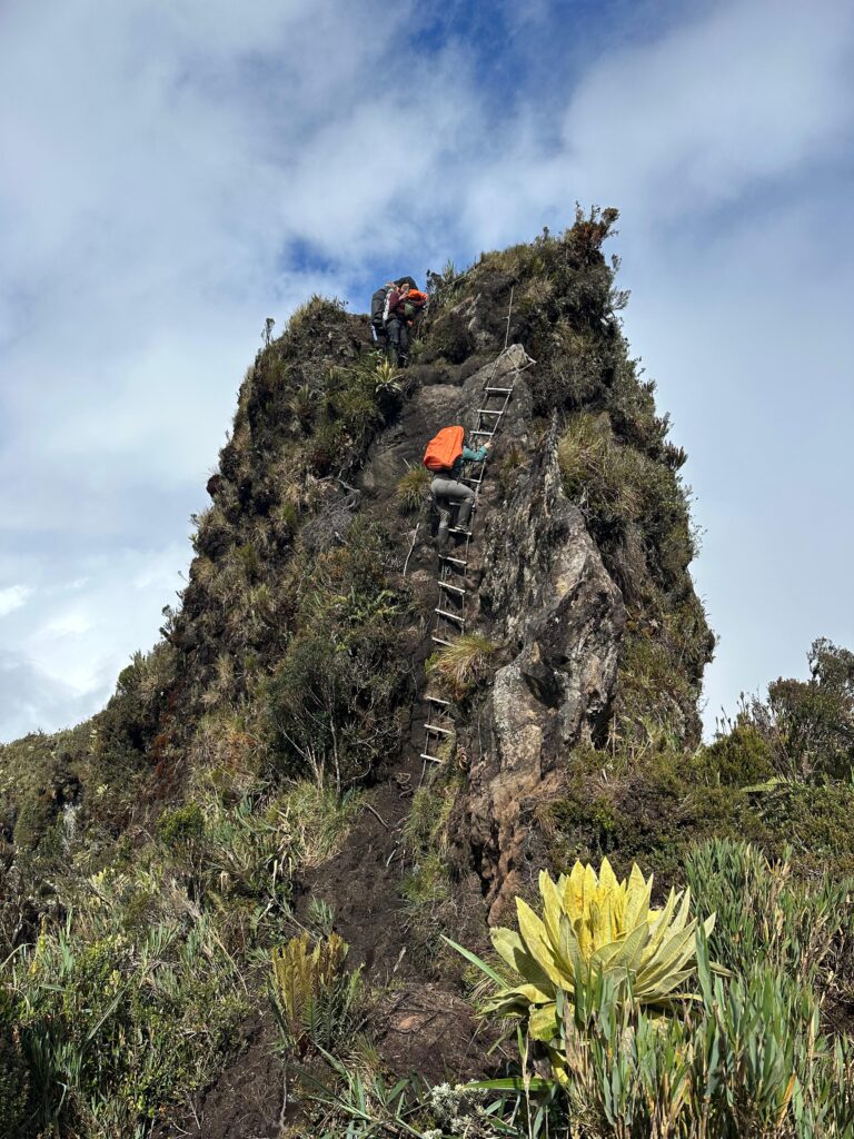 Expedicion nevado del huila (13)