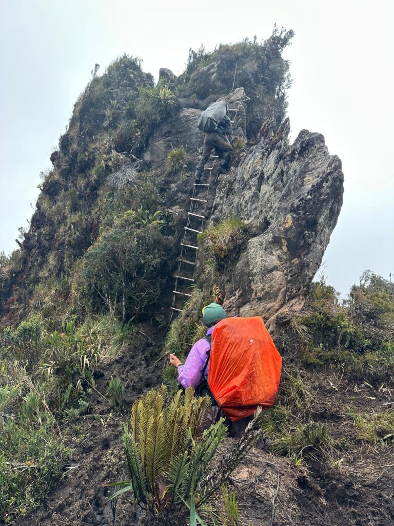 Expedicion nevado del huila (16)