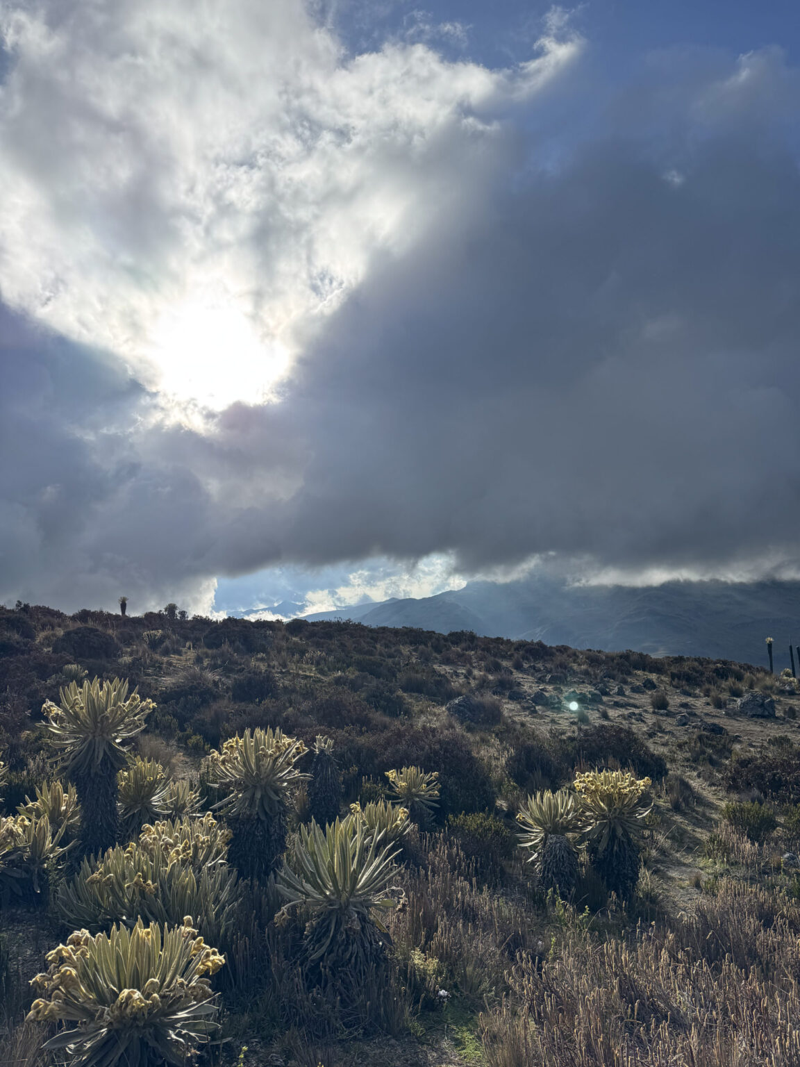 expedicion dulima volcan nevado del tolima (8)