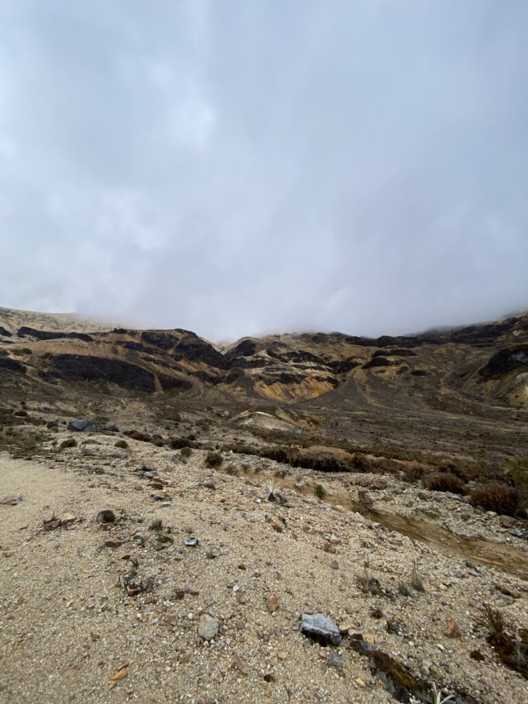 paramillo del quindio (8)