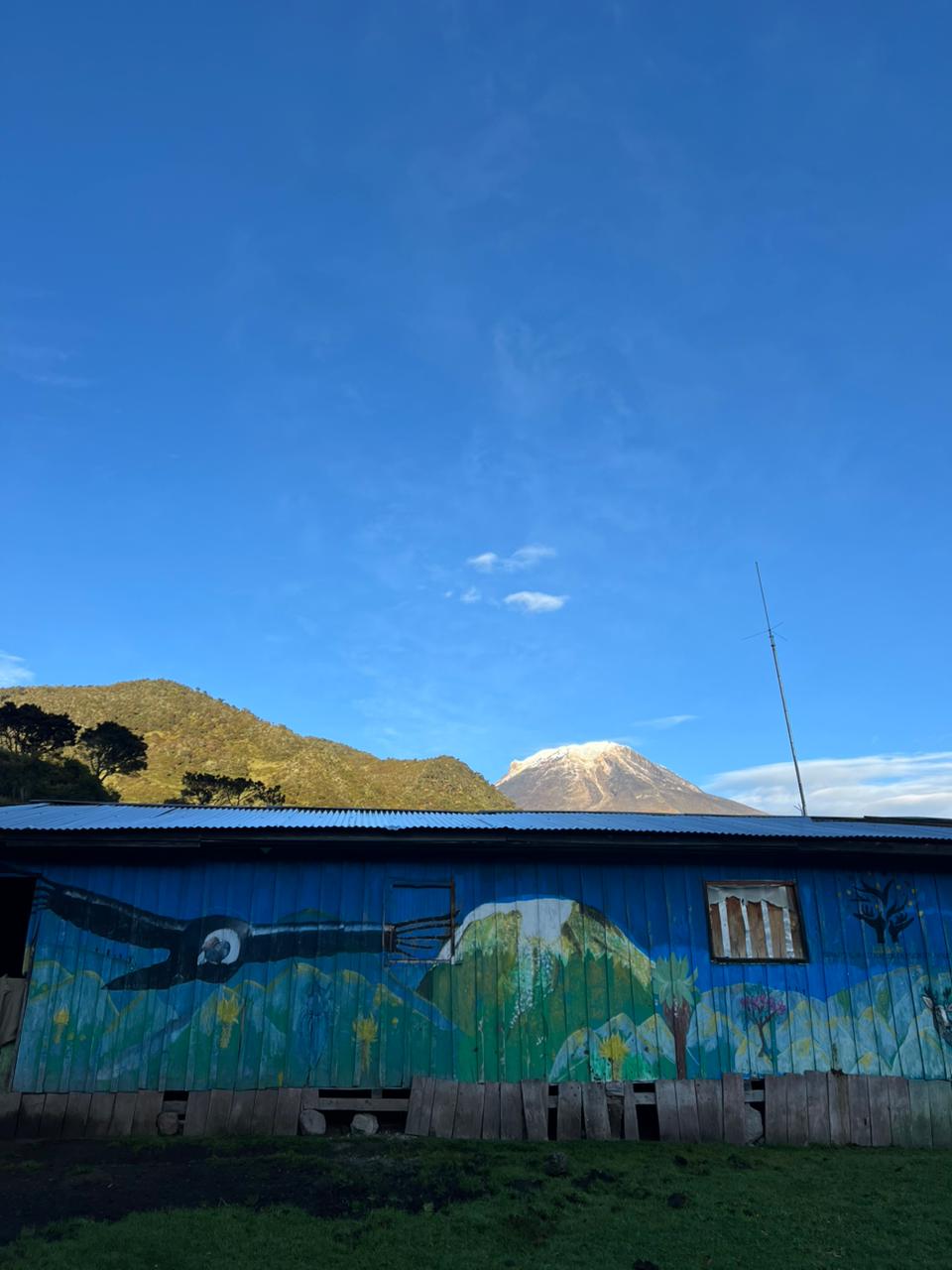 ALTO DE LAS NIEVES (1)