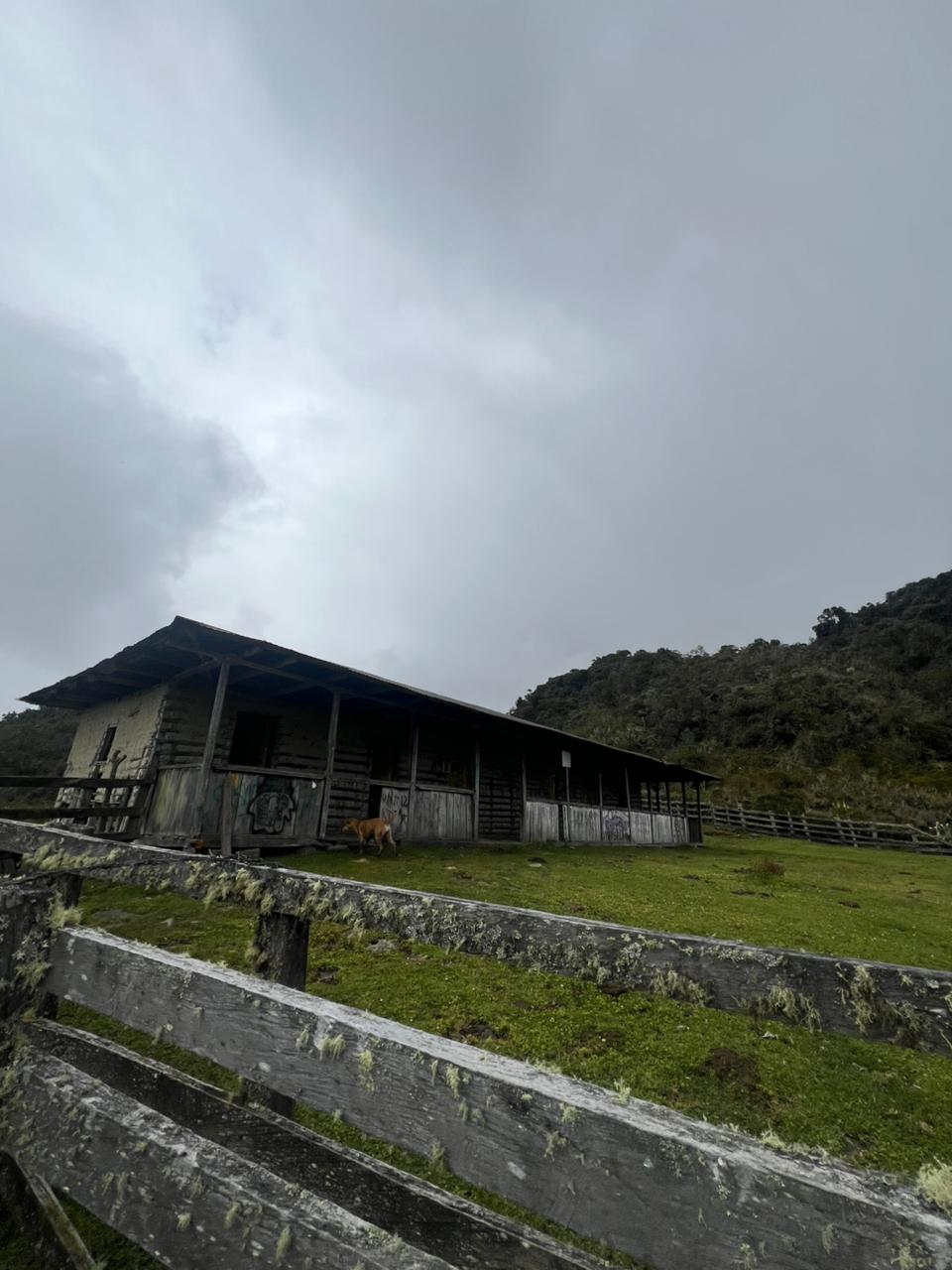 ALTO DE LAS NIEVES (12)