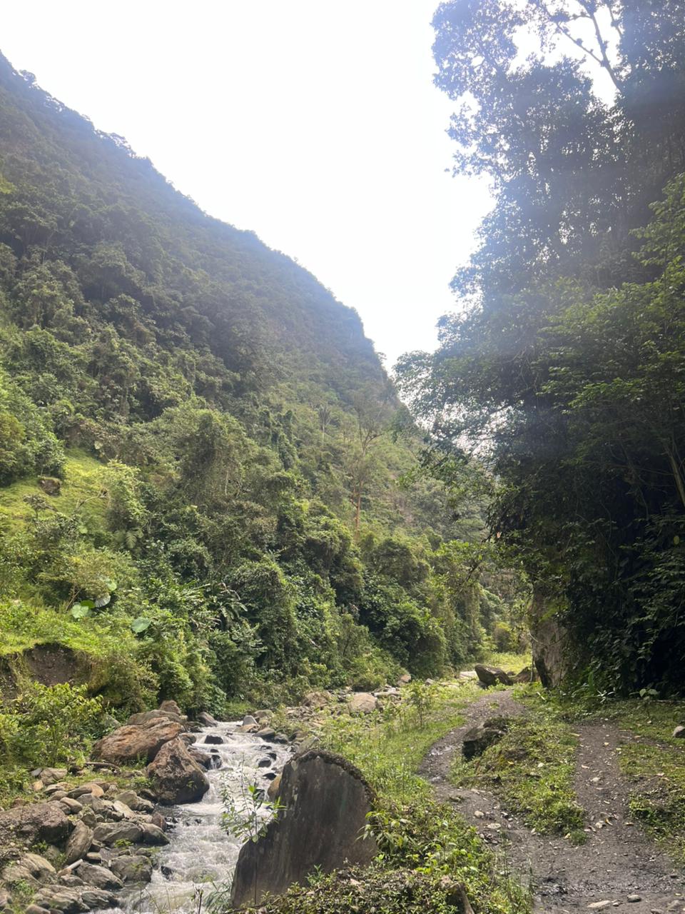 ALTO DE LAS NIEVES (3)