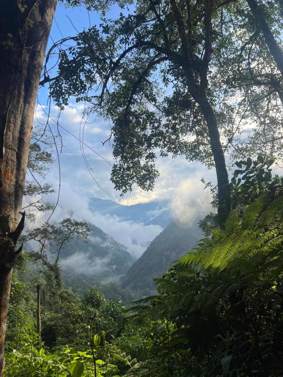 ALTO DE LAS NIEVES (4)