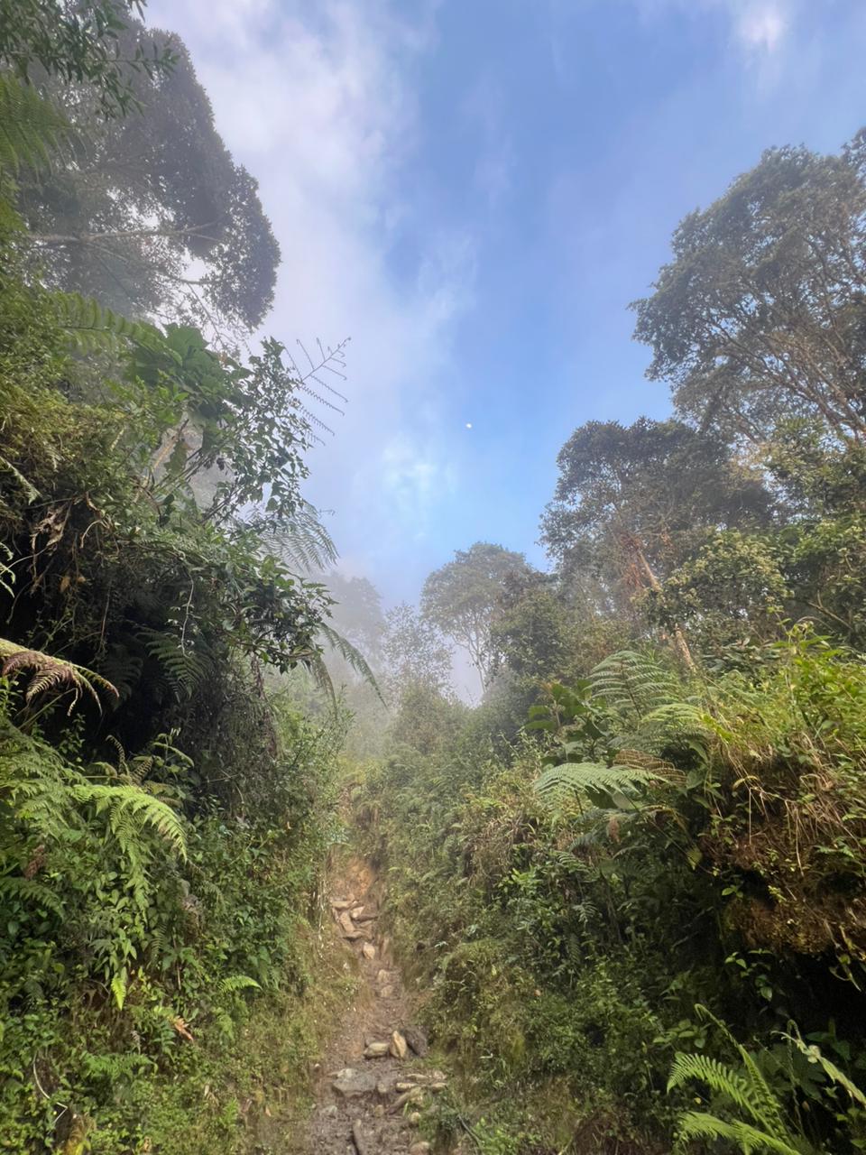 ALTO DE LAS NIEVES (5)