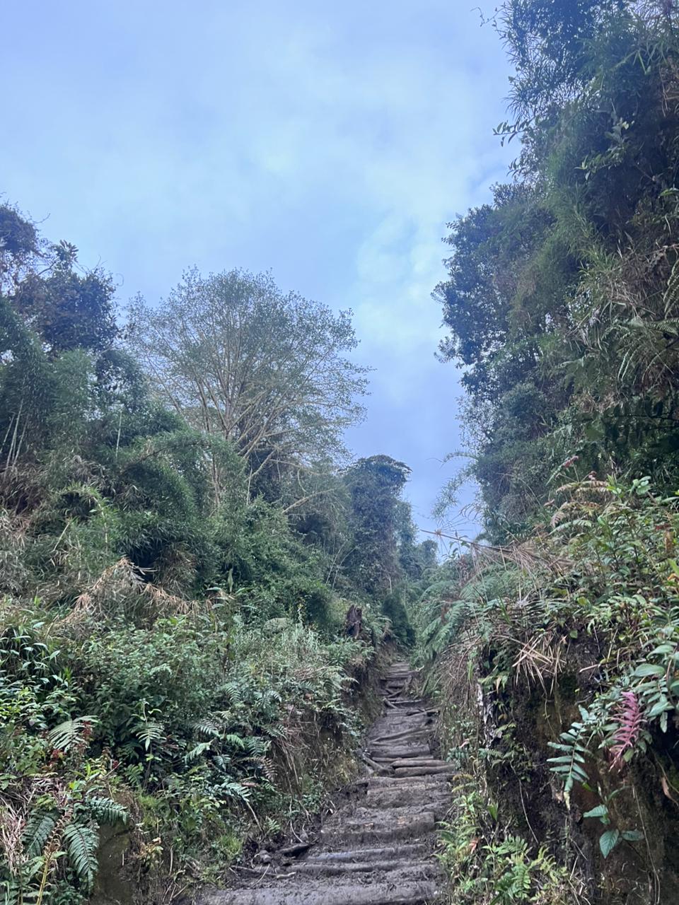 ALTO DE LAS NIEVES (6)