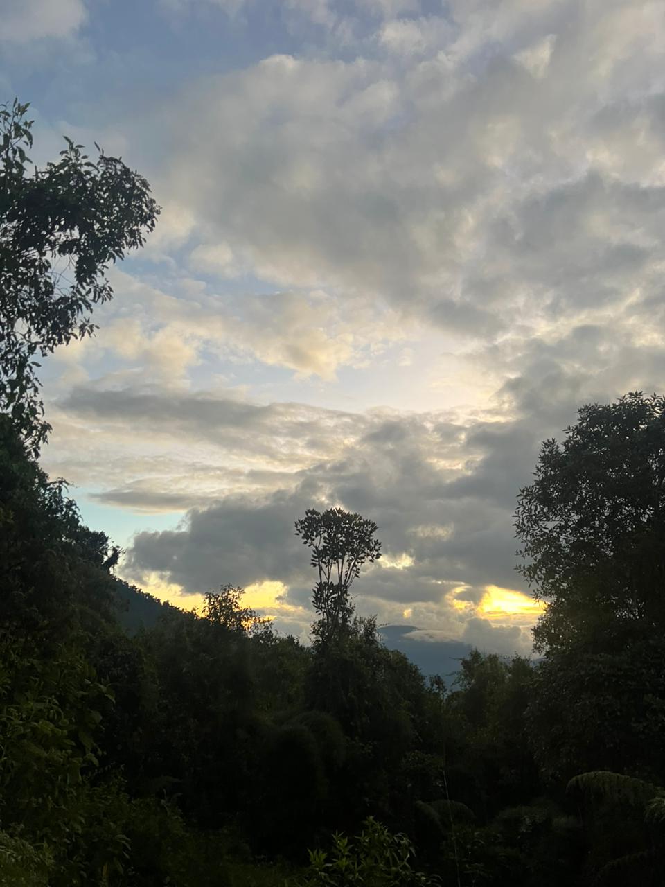 ALTO DE LAS NIEVES (7)