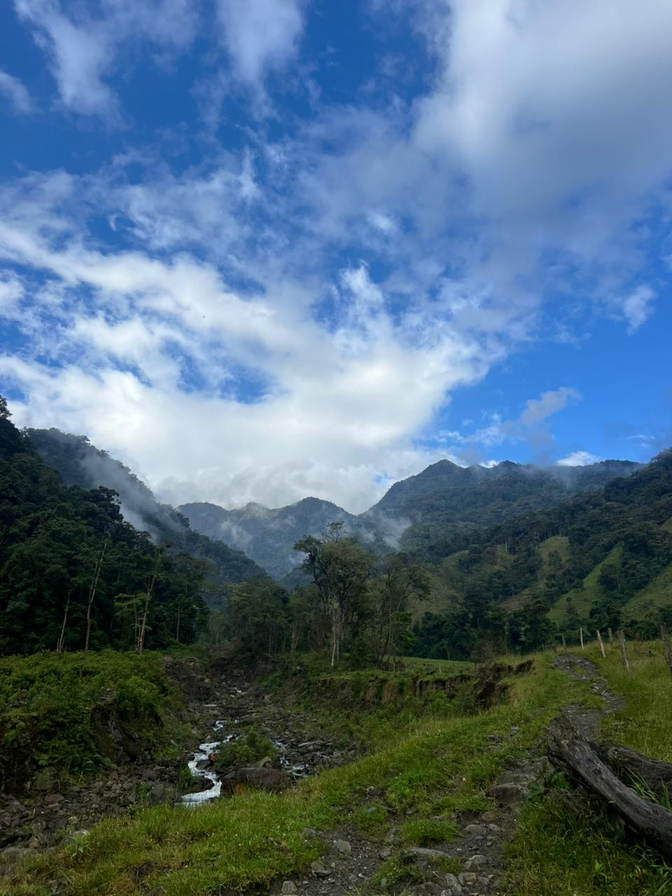 ALTO DE LAS NIEVES (9)